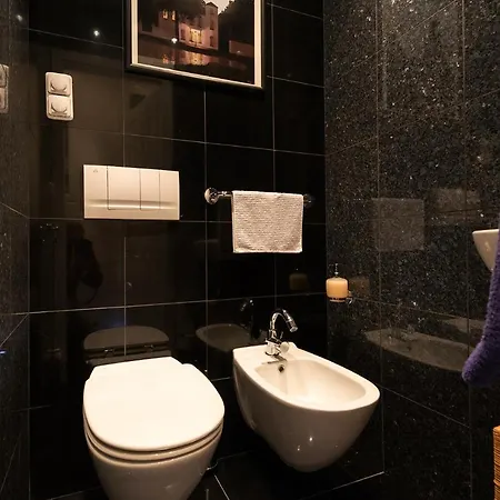 Daire Spacious Vinohrady